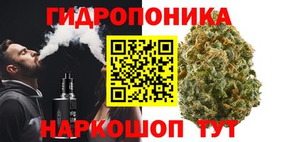 прущие грибы Тара