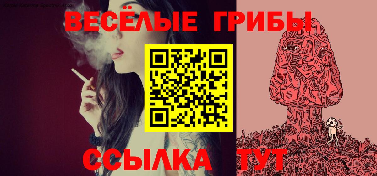 наркота  Галлюциногенные грибы Psilocybe  Вход с VPN  Новоалександровск 